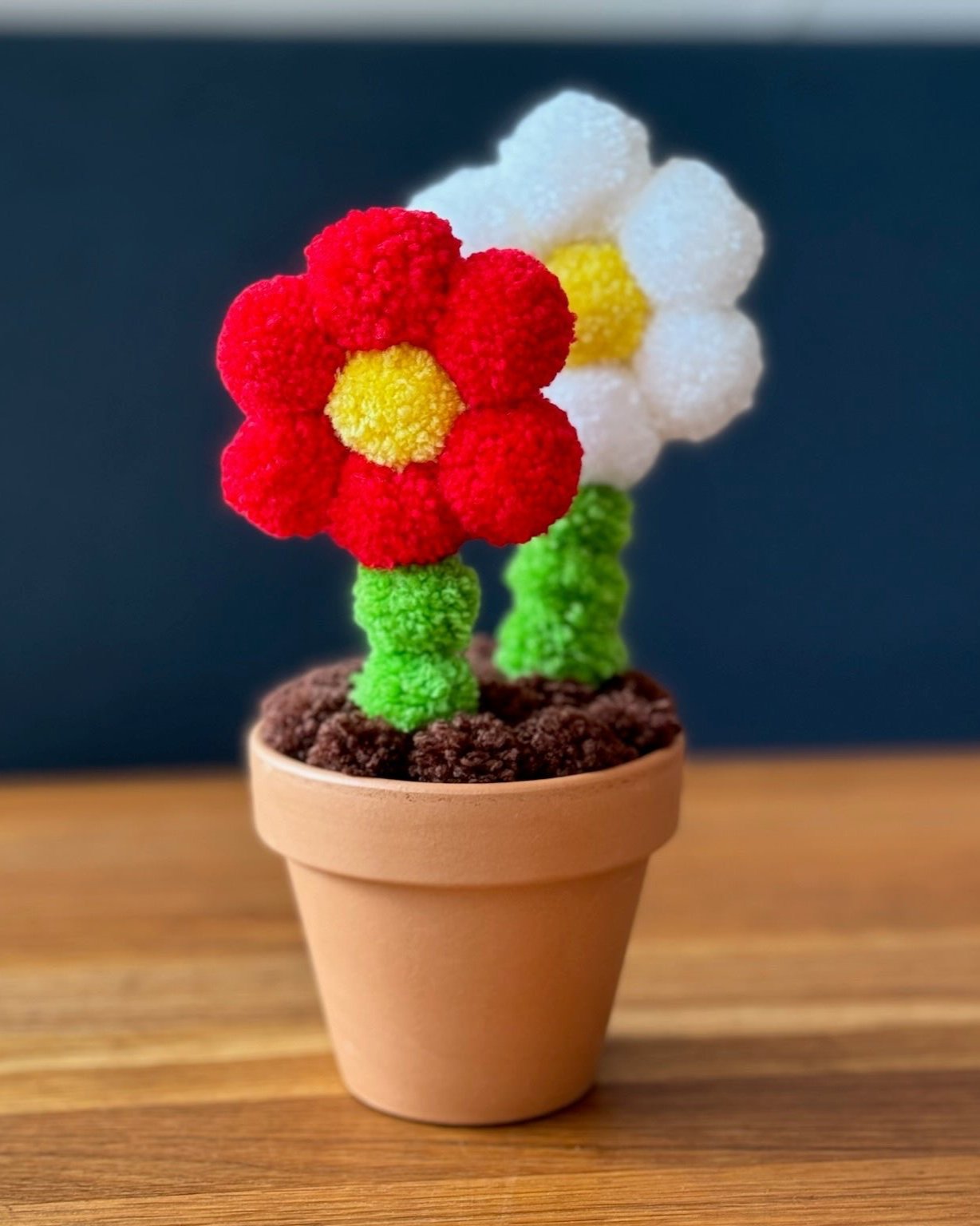 Pom pom roži na leseni mizi, dekoracija, glinen lonček