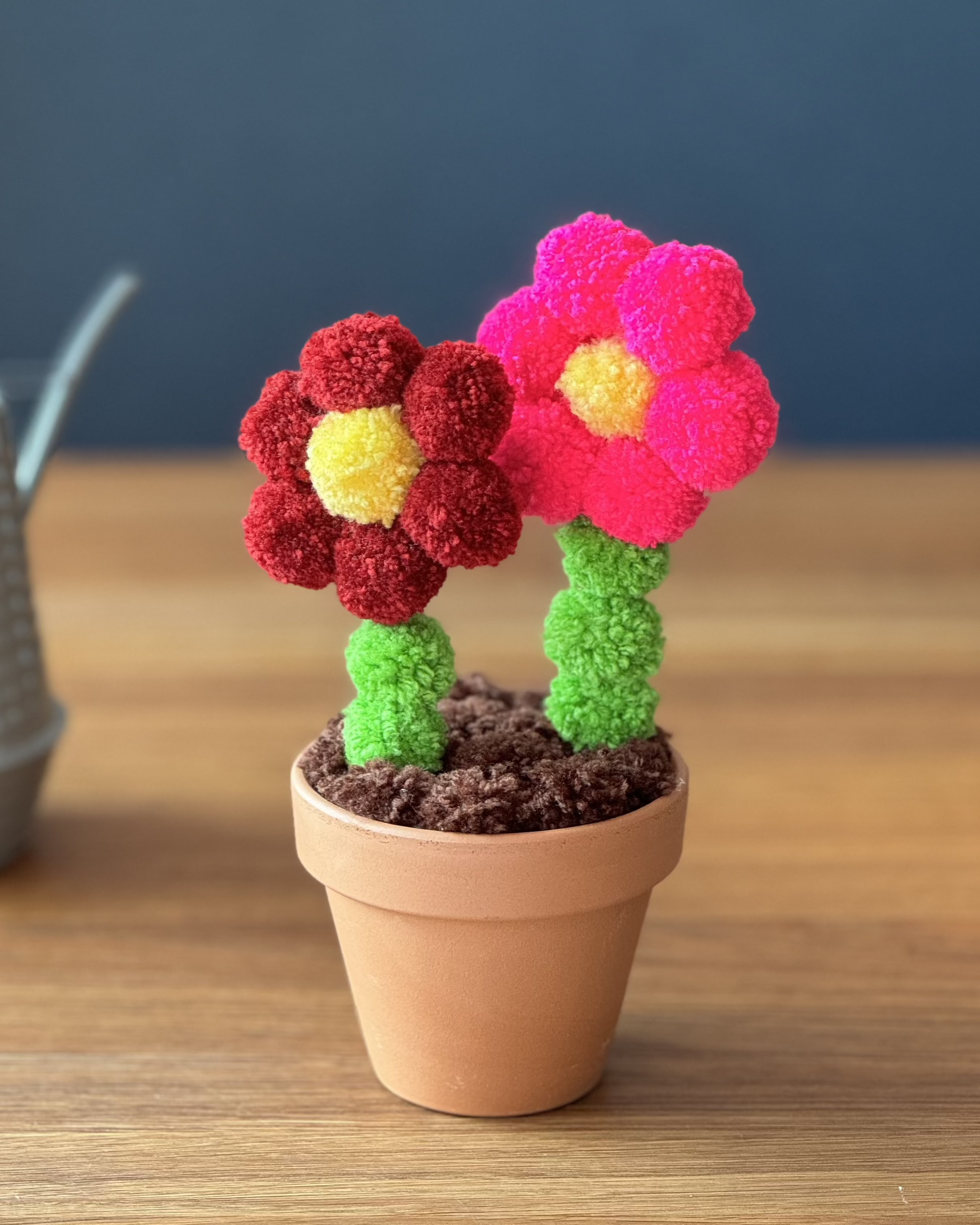 Pom pom roži iz cofov, v glinenem lončku na leseni mizi z zalivalko