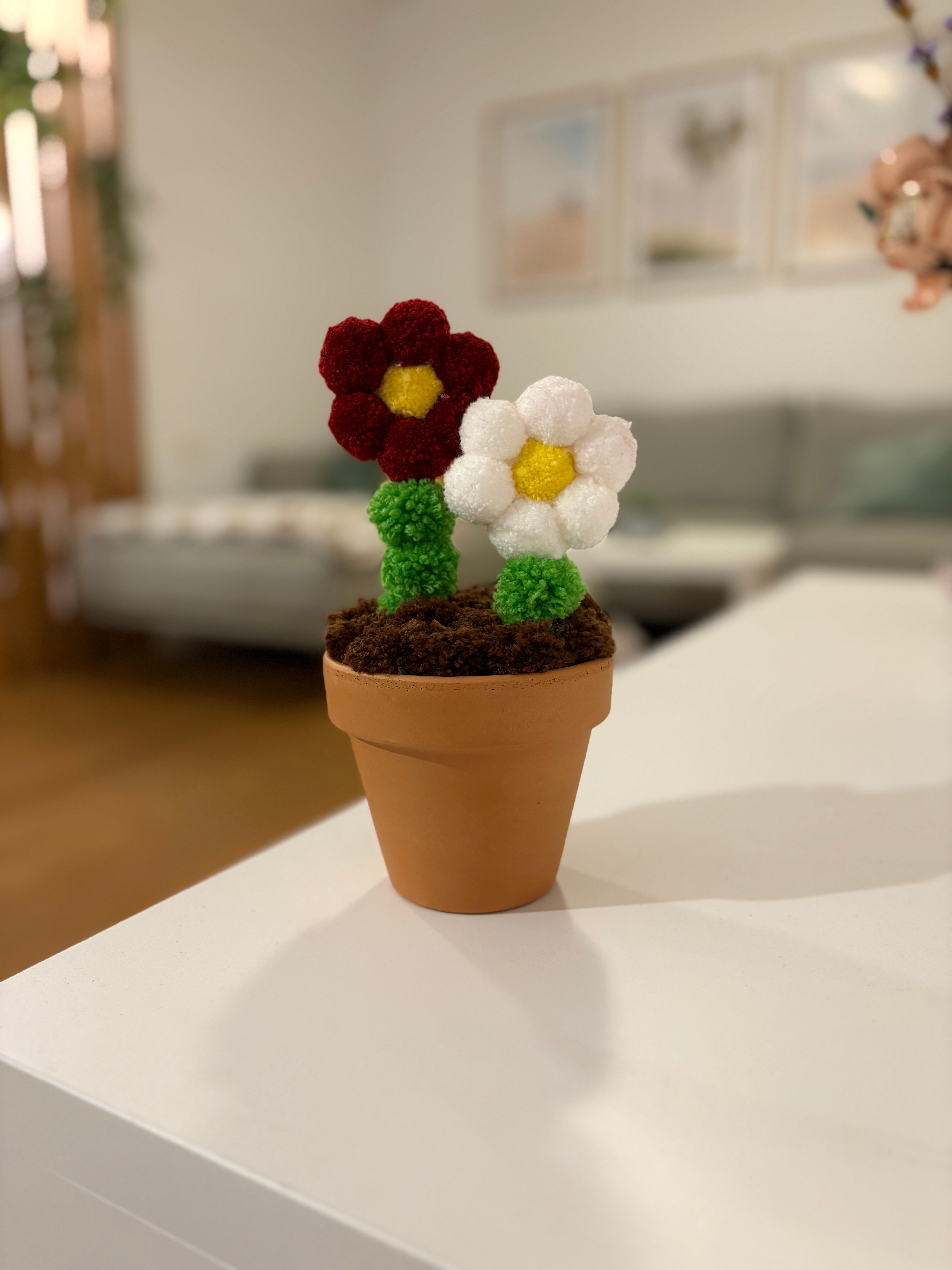 Pom pom rožica v glinenem lončku, postavljena na polico v dnevni sobi kot dekoracija
